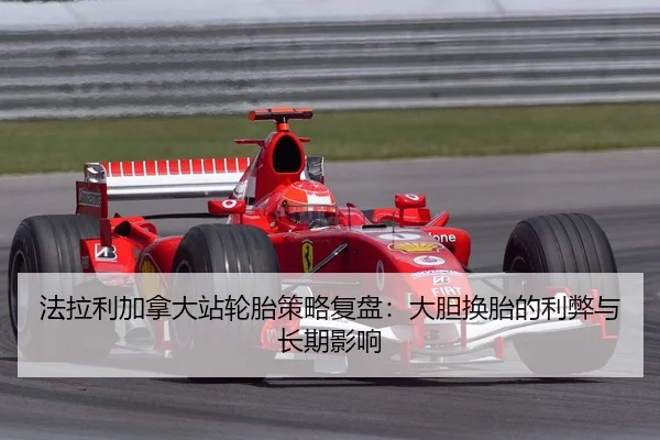 fa-la-li-jia-na-da-zhan-lun-tai-ce-lve-fu-pan-da-dan-huan-tai-de-li-bi-yu-chang-qi-ying-xiang-2-261.jpg